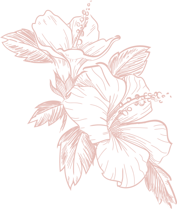 vector